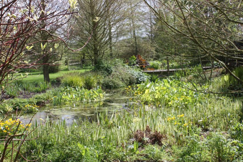  View of Pond - Aulden 