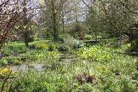  View of Pond - Aulden 