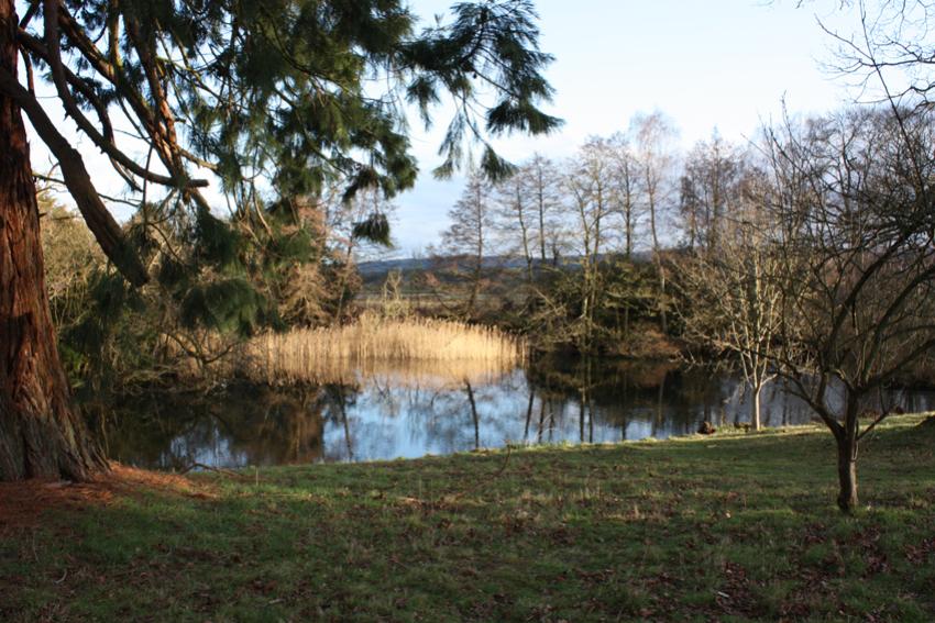  View at Stokesay Court 