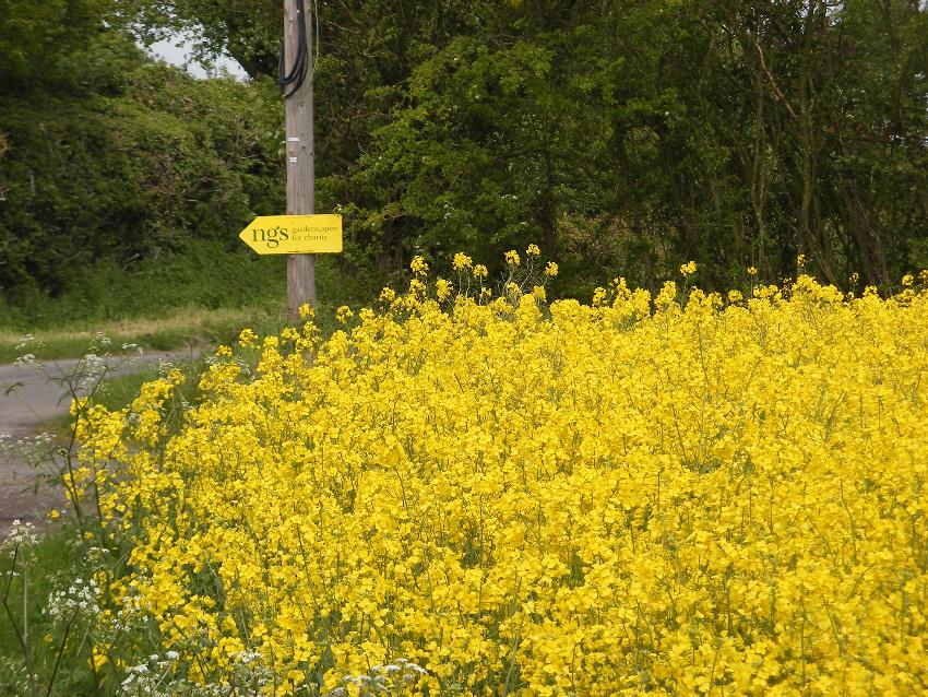  Colour co-ordinated NGS sign 