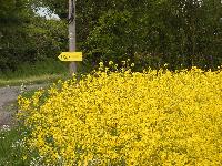  Colour co-ordinated NGS sign 