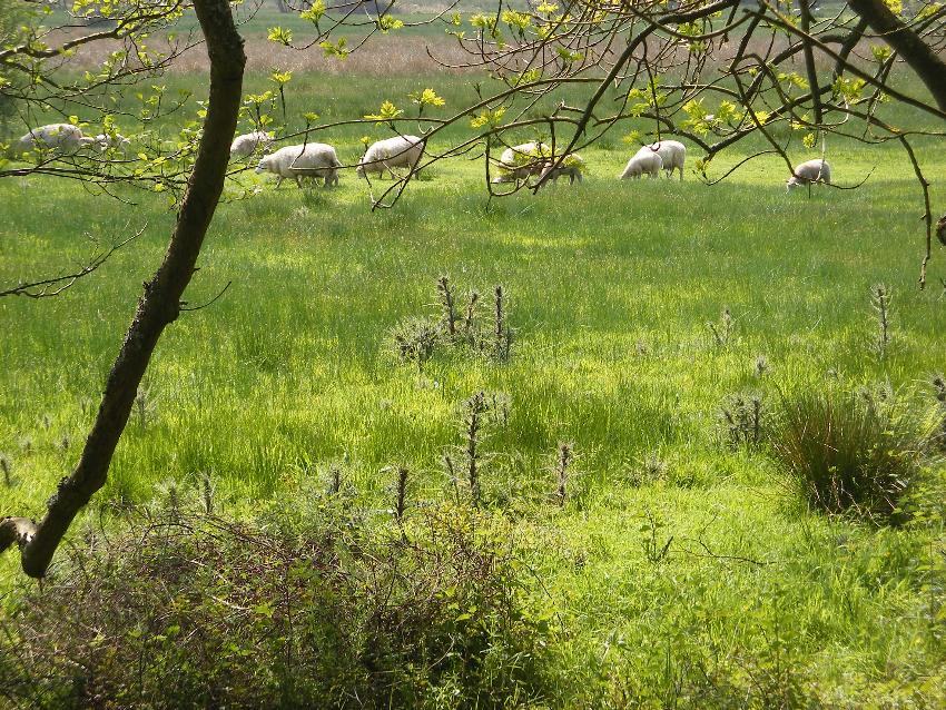  View from the Brecon Canal 