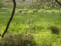  View from the Brecon Canal 