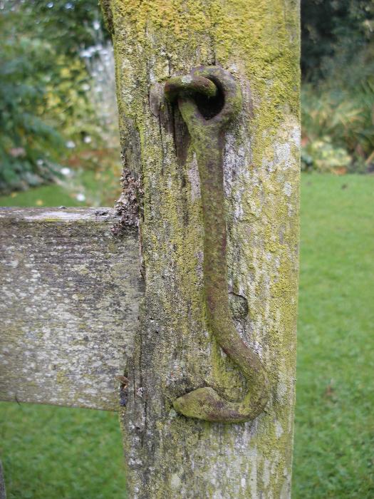  Old gate found under brambles at Aulden 
