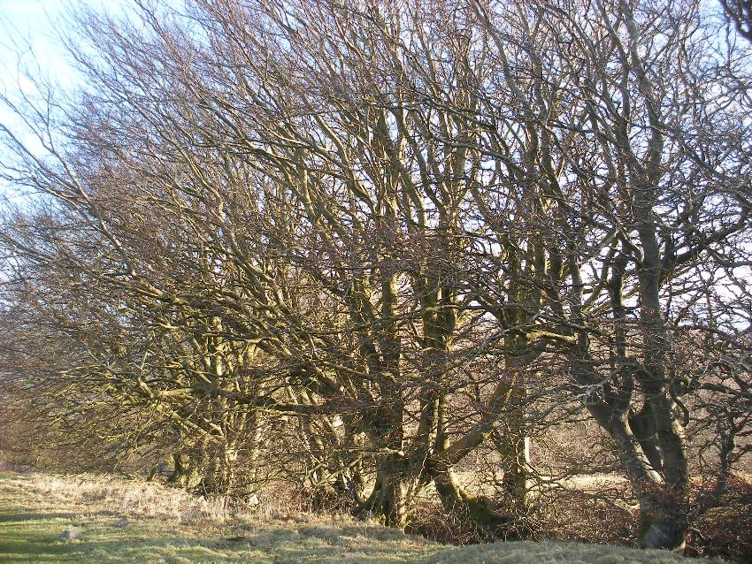  Footpath by Blorenge 