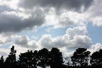  Sky at Wisley - should have been watching the irises! 