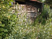  Old Chicken Coup, Aulden better known as the Crooked Barn 