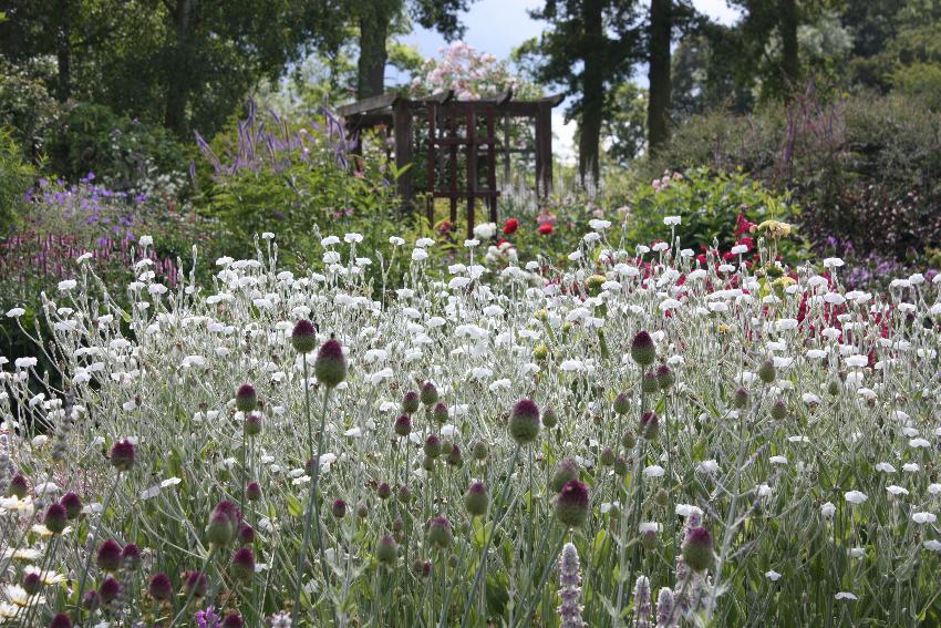  The Cross, Coddington 