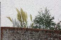  Stoke Bruerne by the canal 