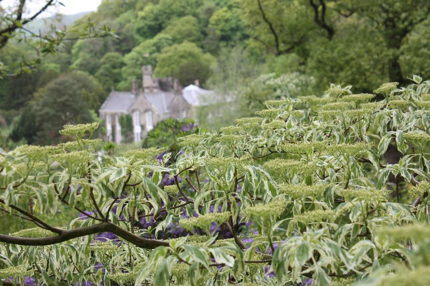  Gresgarth Hall 