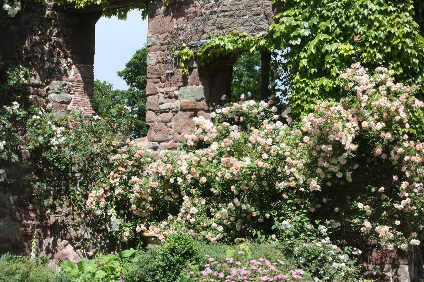  Wilton Castle 