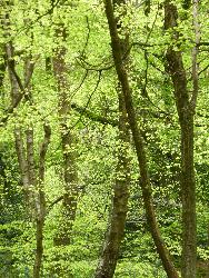  By the Brecon canal 