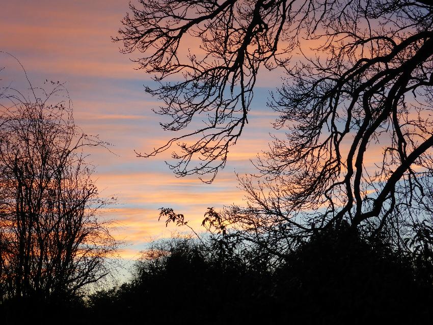  Aulden Sky, framed by our Ash 