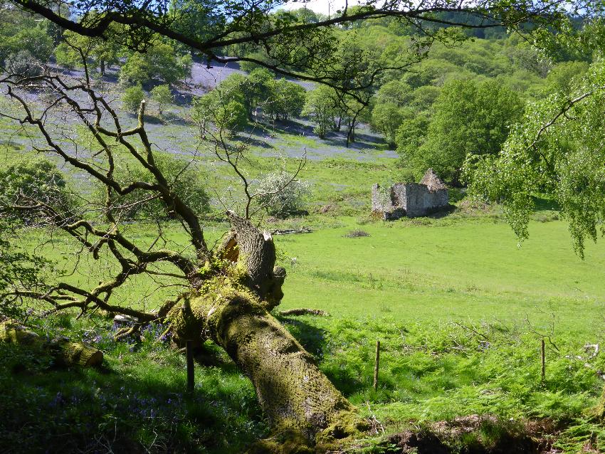  Brecon Canal 