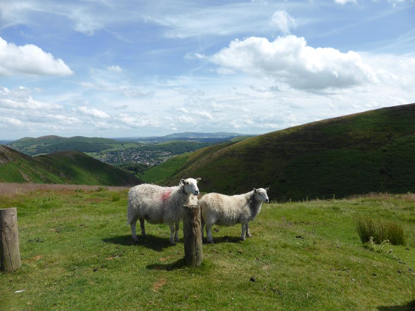 Long Mynd 