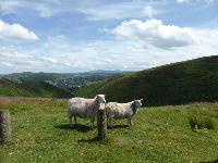  Long Mynd 