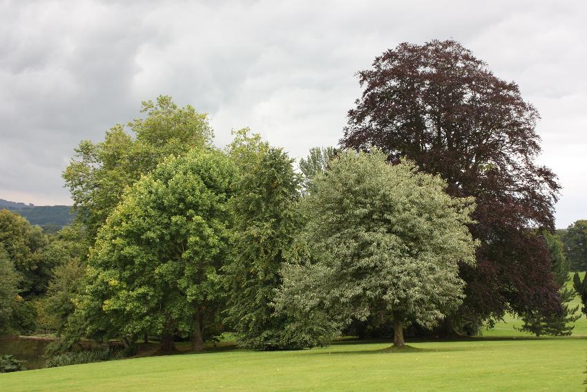  Millichope Park, Shropshire 