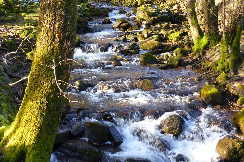  Talybont reservoir 