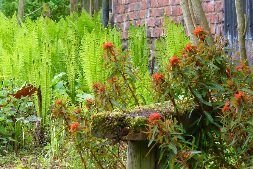  Aulden Farm, Herefordshire 