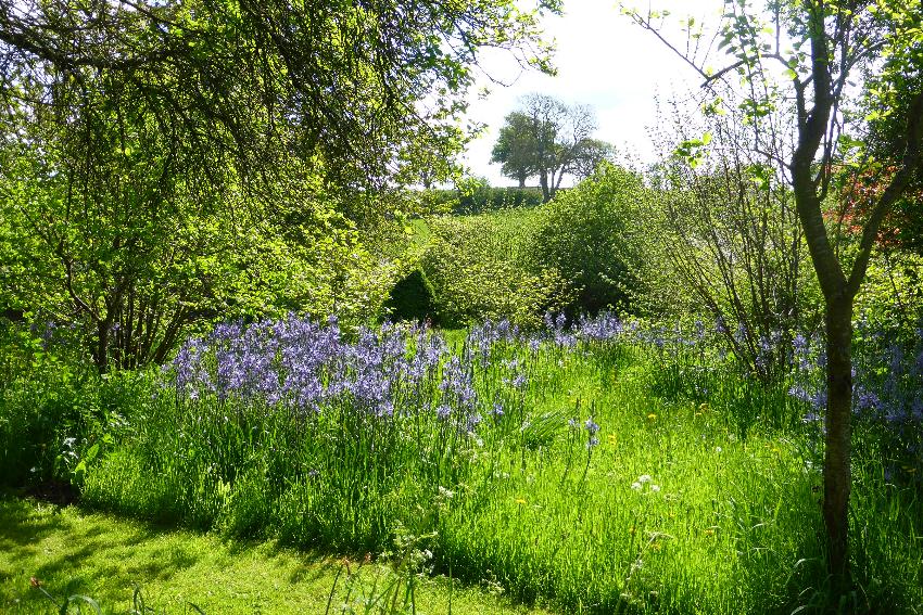  Titley Mill, Herefordshire 