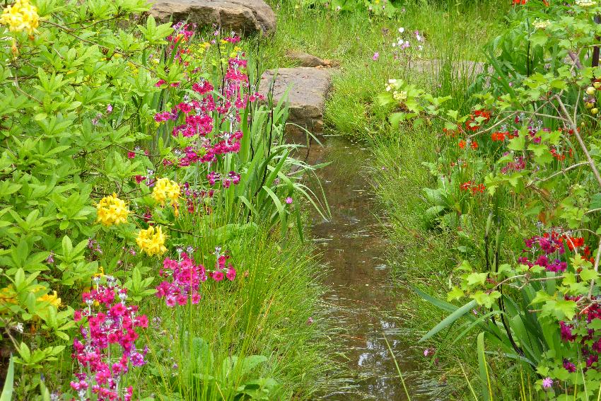  Dan Pearson's garden at Chelsea 