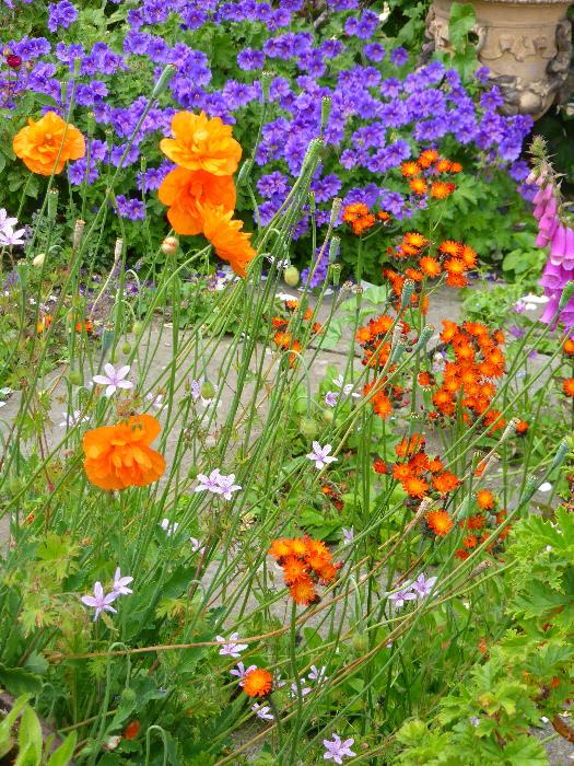  Titley Mill, Herefordshire 