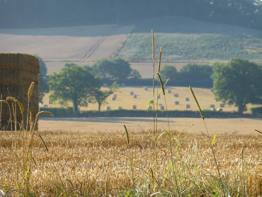  Aulden, Herefordshire 
