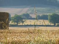  Aulden, Herefordshire 