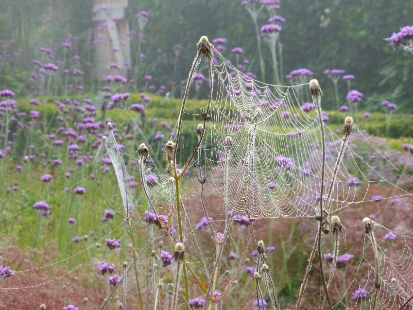  Aulden Farm, Herefordshire 