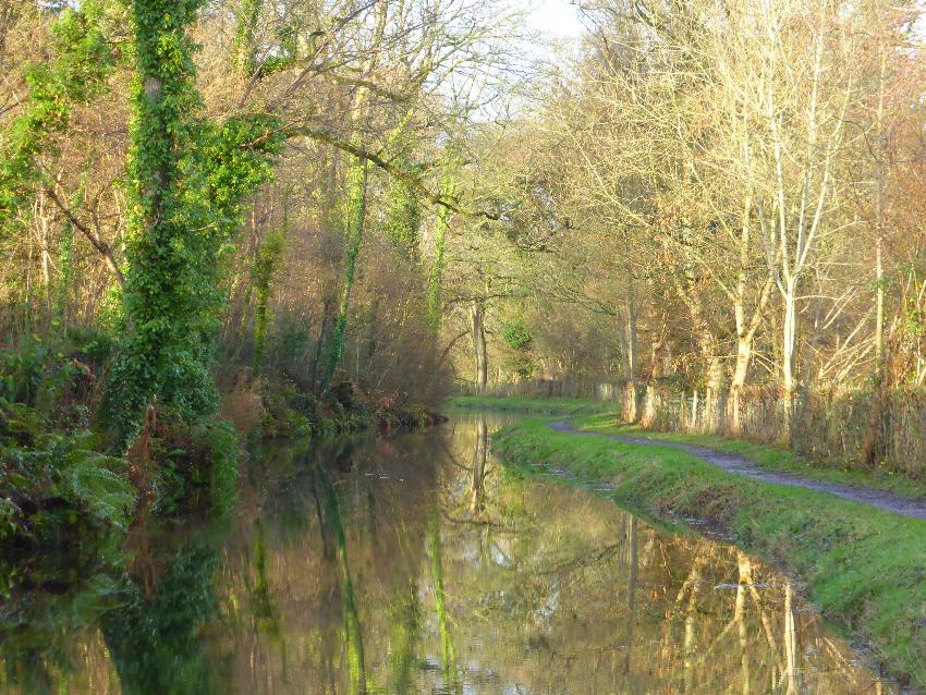  Brecon Canal 