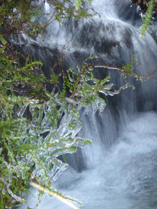  Cardingmill Valley January 2016 