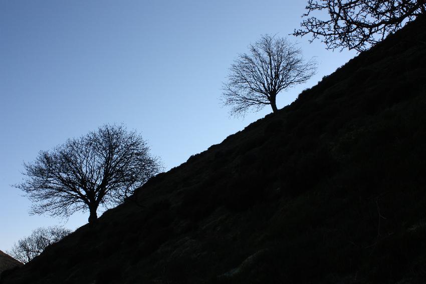  Cardingmill Valley January 2016 