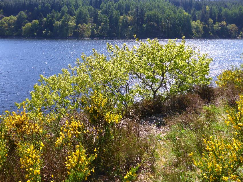  Elan Valley - May 2016 