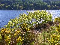  Elan Valley - May 2016 