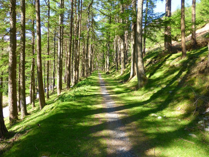  Elan Valley - May 2016 