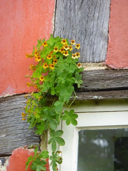  Manor Farm, Frampton - June 2016 