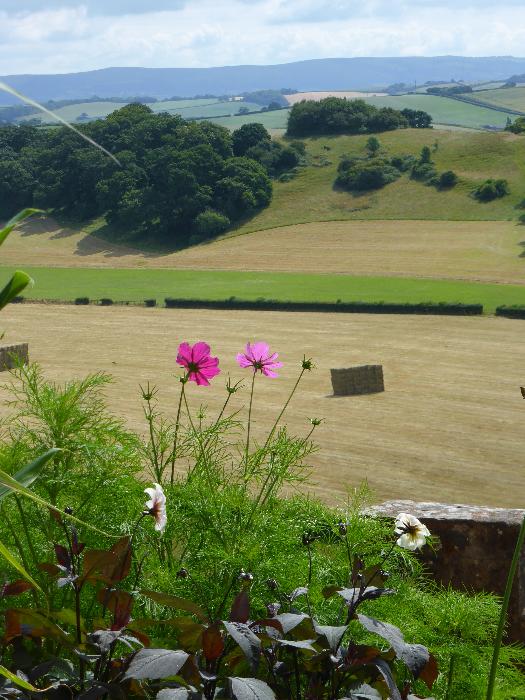  Dunster Castle - July 2016 