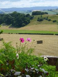  Dunster Castle - July 2016 