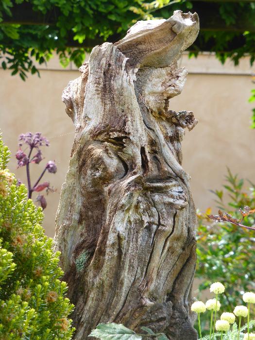  Wildside - July 2016 