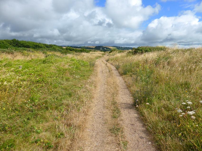  Slapton Ley - July 2016 