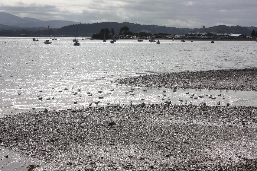  Beaumaris - September 2016 