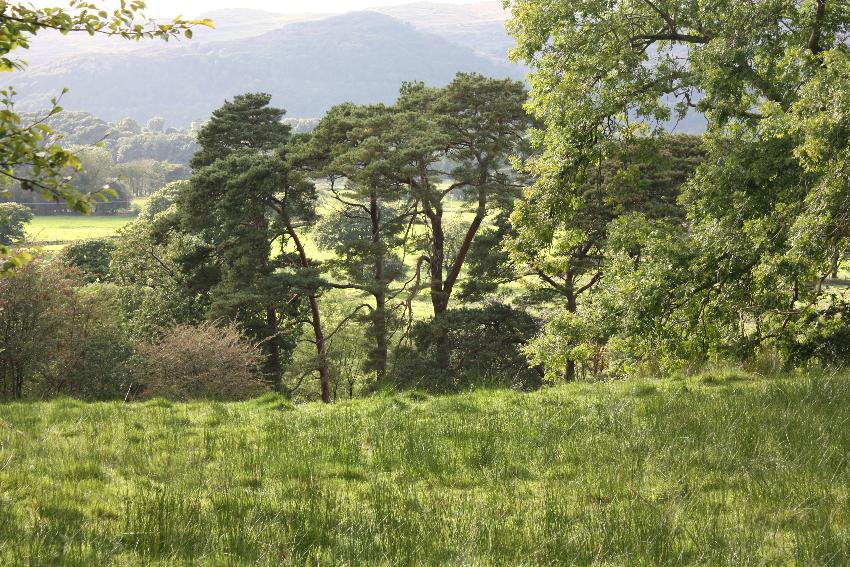  Plas Brondanw - September 2016 