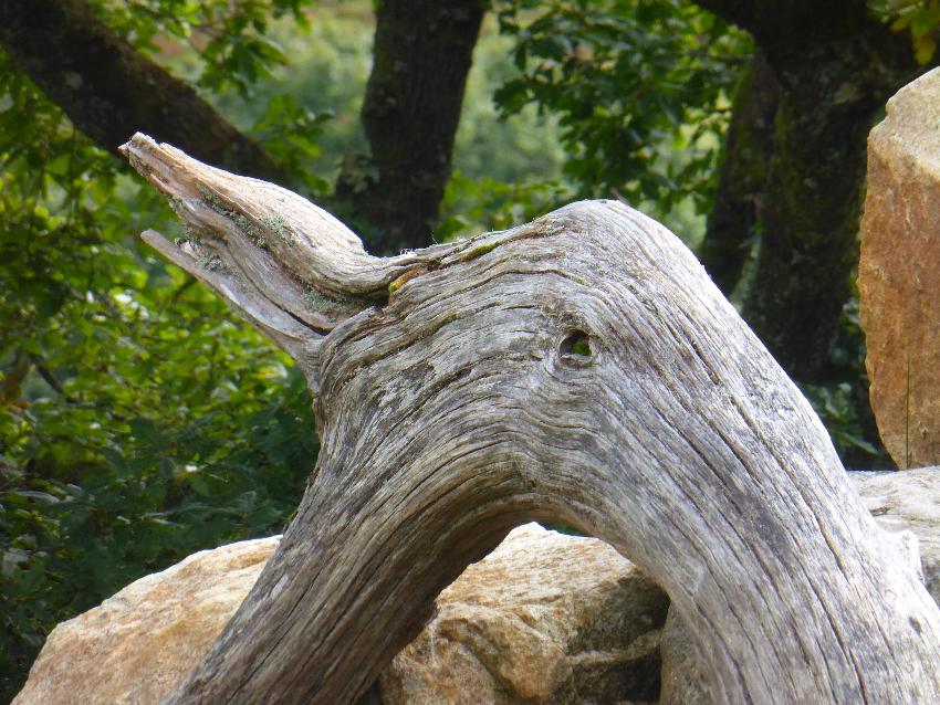  Ddault - September 2016 