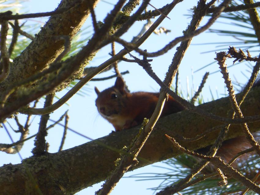  Jersey - October 2016 