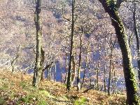  Elan Valley - November 2016 