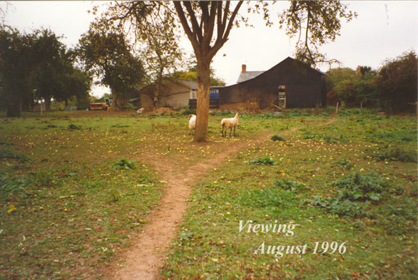 The garden to be in 1996