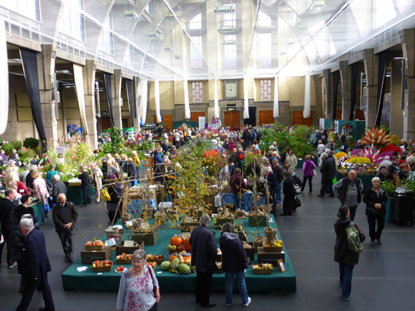 RHS autumn show