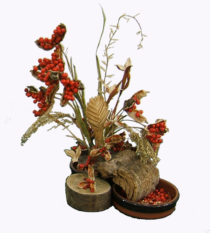 Iris foetidissma in a flower arrangement by Thelma Naylor