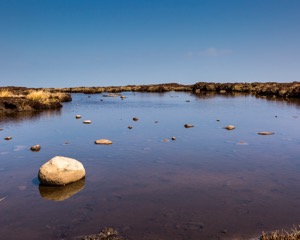 photo by Bob Langridge