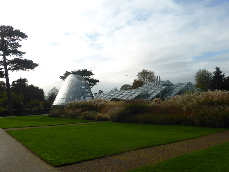 the glasshouses